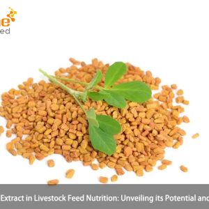 Fenugreek Extract in Livestock Feed Nutrition: Unveiling its Potential and Benefits
