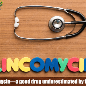 Lincomycin—a good drug underestimated by farmers