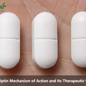 Sitagliptin Mechanism of Action and Its Therapeutic Use