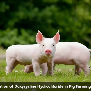 The Application of Doxycycline Hydrochloride in Pig Farming Production