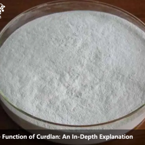 The Function of Curdlan: An In-Depth Explanation