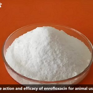 The action and efficacy of enrofloxacin for animal use