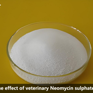 The effect of veterinary Neomycin sulphate