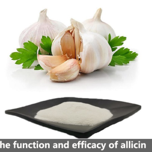 The function and efficacy of allicin