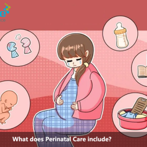 What does Perinatal Care include?