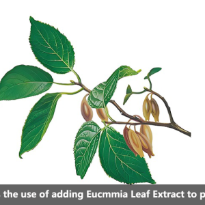 What is the use of adding Eucmmia Leaf Extract to pig feed?