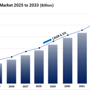 Access Control Market Size, Share, Industry Trends and Forecast 2025-2033