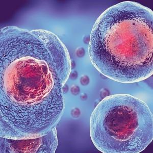 Autologous Stem Cell and Non-Stem Cell Based Therapies Market Report 2024-2032