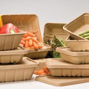 Biodegradable Food Service Disposables Market Size, Trends, Analysis and Forecast to 2027