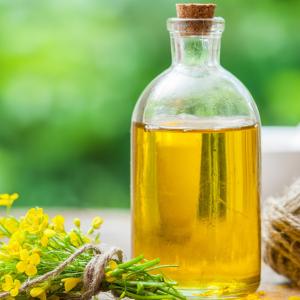 Canola Oil Processing Plant Project Report 2023: Trends, Plant Setup and Investment Opportunities