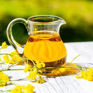 Canola Oil Market 2023: Size, Global Industry Trends, Analysis and Forecast to 2028