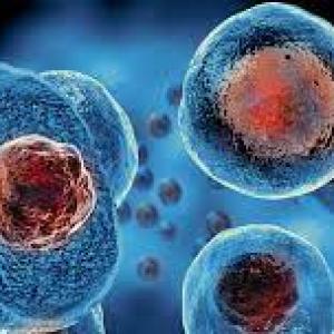 Cell and Gene Therapy Market Size, Share, Trends, Industry Outlook and Forecast 2023-2028