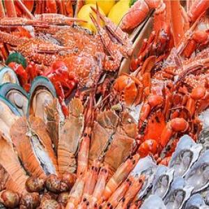 European Frozen Seafood Market 2023: Size, Trends, Key Players, Analysis and Forecast to 2028