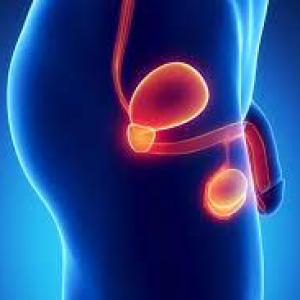 Male Hypogonadism Market Share, Size, Industry Overview, Analysis and Forecast 2023-2028