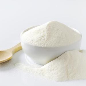 Whole Milk Powder Market Size, Industry Overview, Analysis and Forecast to 2027