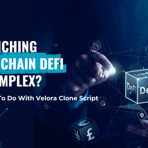 How to Start a Cross-Chain DeFi Platform with Velora Clone Script?