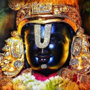 9944953334 / 9944653334 BALAJI  TRAVELS T.NAGAR