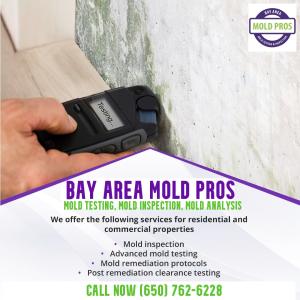 Discovering 3 productive ways to stop mold spreading