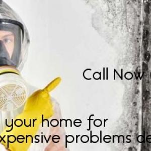 What to do when there’s Water Damage Mold, & Mildew at home or business