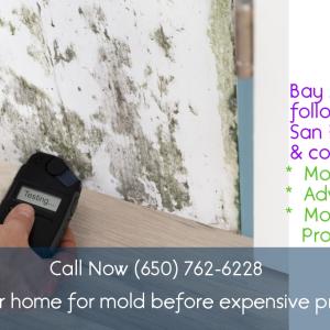 Mold Growth And Its Relation With Water