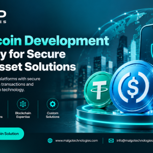Stablecoin Development Company for Secure Digital Asset Solutions