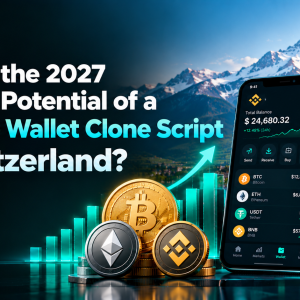 What Is the 2027 Growth Potential of a Binance Wallet Clone Script in Switzerland?