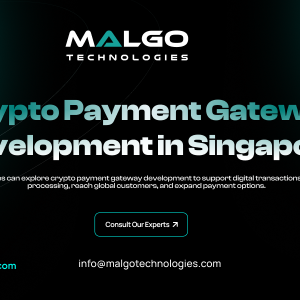 Singapore Businesses Explore the Next Wave of Digital Payments with Crypto Payment Gateway 