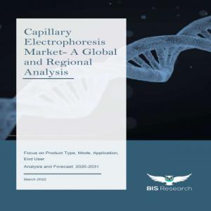 Capillary Electrophoresis Market Segmentation, Growth Analysis & Future Scope 2031