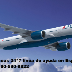 What happens If Delta Cancels my flight?