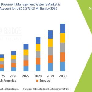 Medical Document Management Systems Market Industry Statistics Overview 