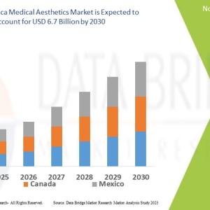 North America Medical Aesthetic Market Growth Companies: Share, Value and Trends Analysis