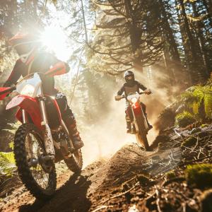 Adventure Motorcycle Market Size, Trends, and Growth Forecast 2026-2033