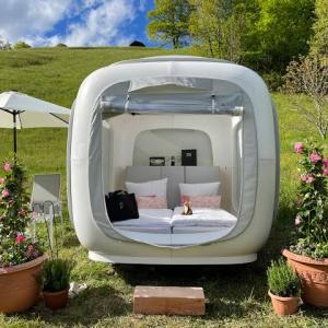 Alternative Accommodation Market: Size, Growth, Trends, and Strategic Insights