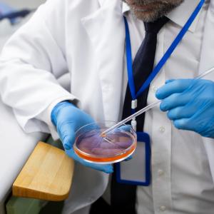 Checkpoint Inhibitor Refractory Cancer Market Size, Trends, and Growth Forecast 2026-2033