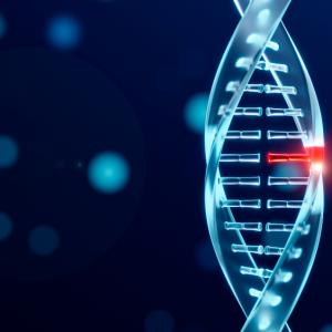 Genome Editing Market Size, Trends, and Growth Forecasts to 2033