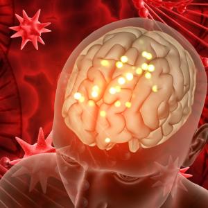 Global Blood Brain Barrier Market Size and Growth Forecast 2026-2033