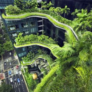 Global Green Buildings Market: Size, Trends, Drivers, and Strategic Insights