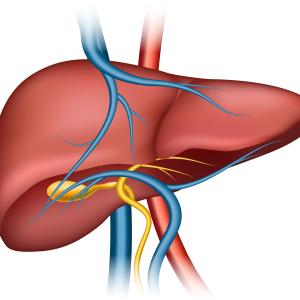 Global Liver Cirrhosis Market Size, Trends, and Growth Analysis 2026-2033