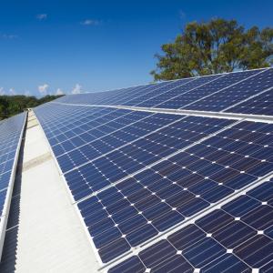 Monocrystalline Solar Cell Market Size, Trends, and Growth Analysis 2026-2033