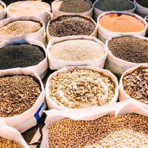 Organic Feed Market Size, Growth, Trends, and Key Drivers Analysis