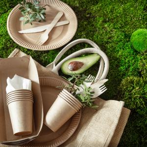 Global Plant-based Packaging Market Growth and Revenue Trends