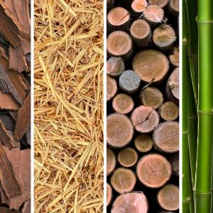 Sustainable Materials Market Size, Trends, and Growth Forecast 2026-2033