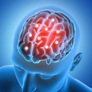 Transient Ischemic Attack Market: Size, Trends, and Strategic Insights 2026-2033