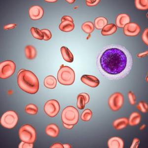 Warm Autoimmune Hemolytic Anemia Market Size and Growth Outlook 2026-2033