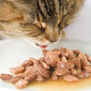 Global Wet Pet Food Market: Size, Trends, Drivers, and Strategic Outlook