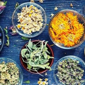 Global Botanicals Market Growth and Strategic Outlook 2026-2033