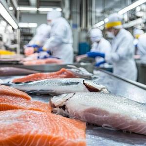 Global Fish Processing Market: Size, Trends, and Growth Insights 2026-2033