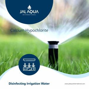 SAFER ALTERNATIVES TO CHLORINE FOR WATER AND WASTEWATER TREATMENT DISINFECTION