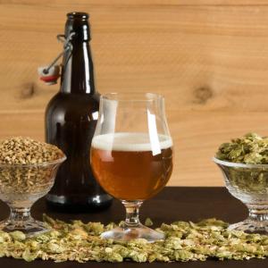 Brewing Ingredients Market Size, Trends, and Growth Opportunities to 2033
