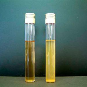 Global Chloroform Market Size, Revenue, and Growth Trends 2026-2033